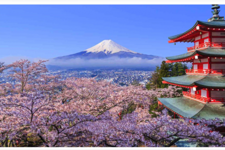 TOUR YAMANASHI – FUJI – TOCHIGI – TOKYO – NARITA [5N4Đ] – Hoa tử đằng