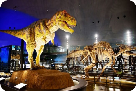 NGÀY 2 (02/05): KOMATSU – FUKUI – AWAZU  (Ăn sáng trên máy bay/L/D)