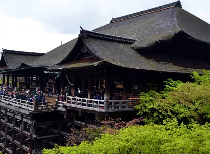 Chuyên tour Nhật Bản