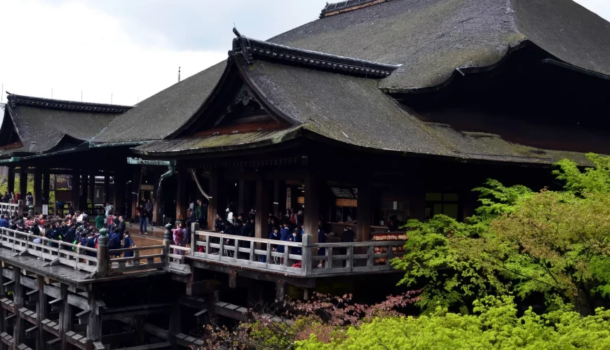 Chuyên tour Nhật Bản