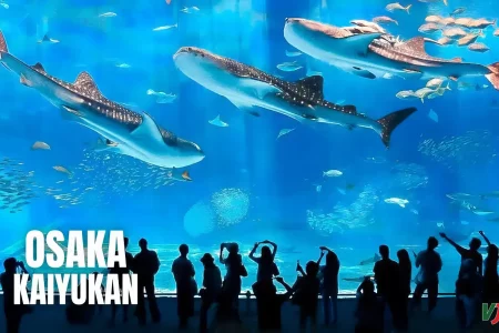 TOUR KOBE – OSAKA – KYOTO – YAMANASHI – FUJI – TOKYO – NARITA [7N6Đ]