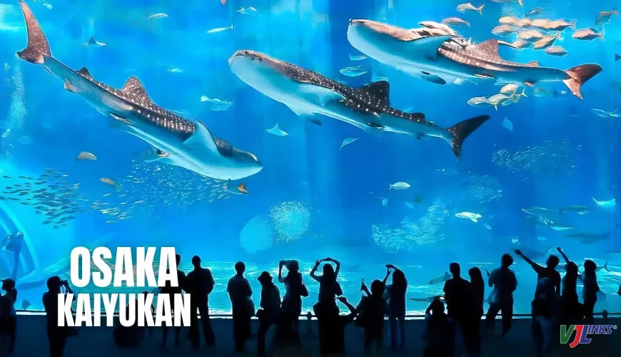 Chuyên tour Nhật Bản