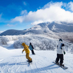 Chuyên tour Nhật Bản