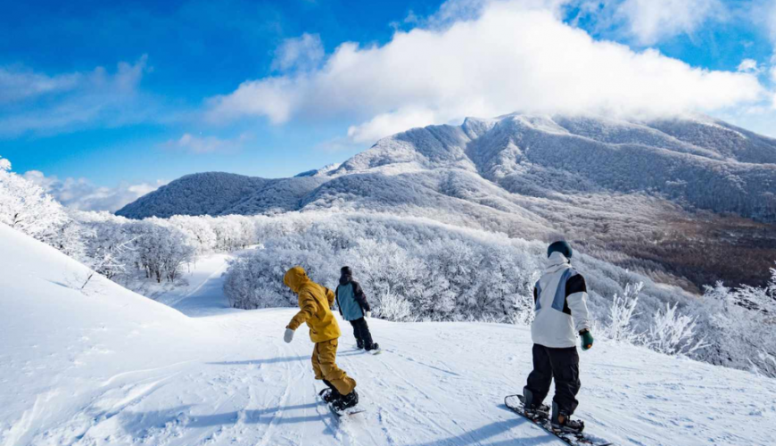 Chuyên tour Nhật Bản
