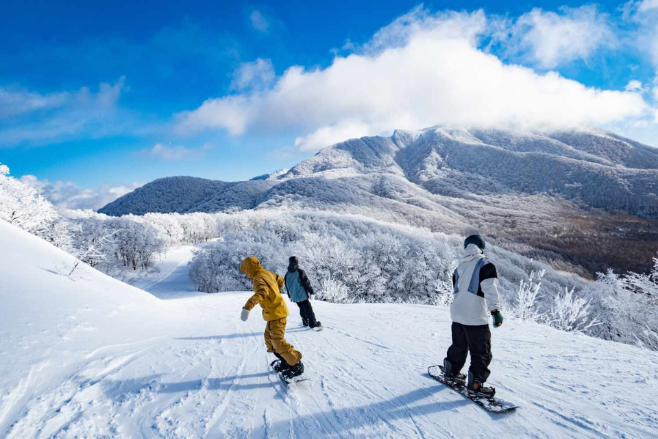 Chuyên tour Nhật Bản